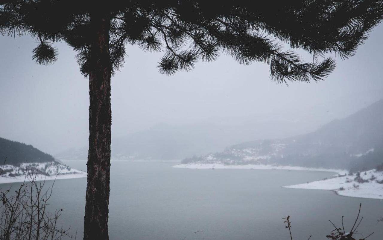 Vila Nemir Zavojsko Jezero Pirot Esterno foto